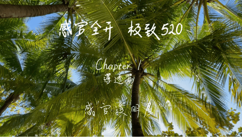 感官全开，极致520