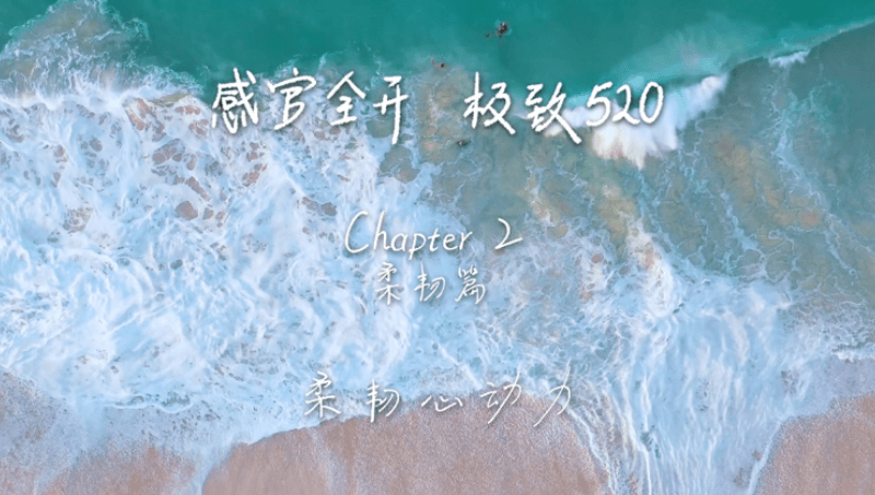 感官全开，极致520