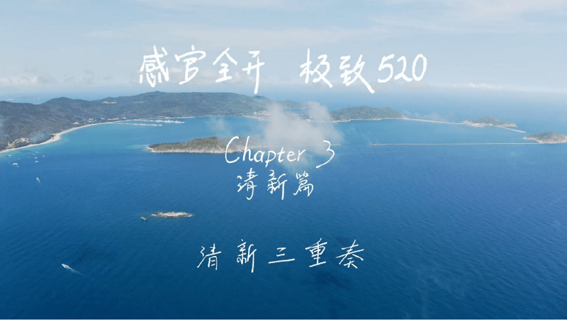 感官全开，极致520